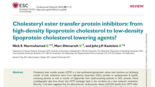 Cholesteryl ester transfer protein inhibitors: from high-density lipoprotein cholesterol to low-density lipoprotein cholesterol lowering agents